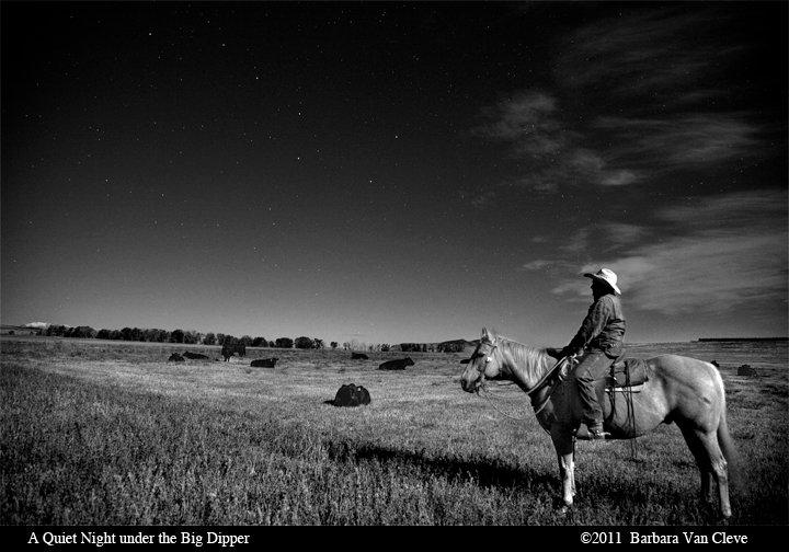 Barbara Van Cleve, A Quiet Night under the Big Dipper